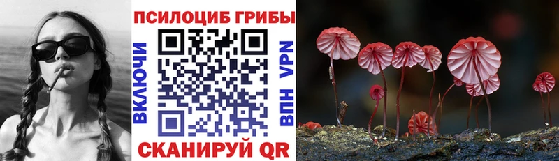 Галлюциногенные грибы GOLDEN TEACHER  купить наркоту  Похвистнево 